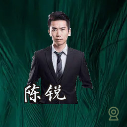 陈锐